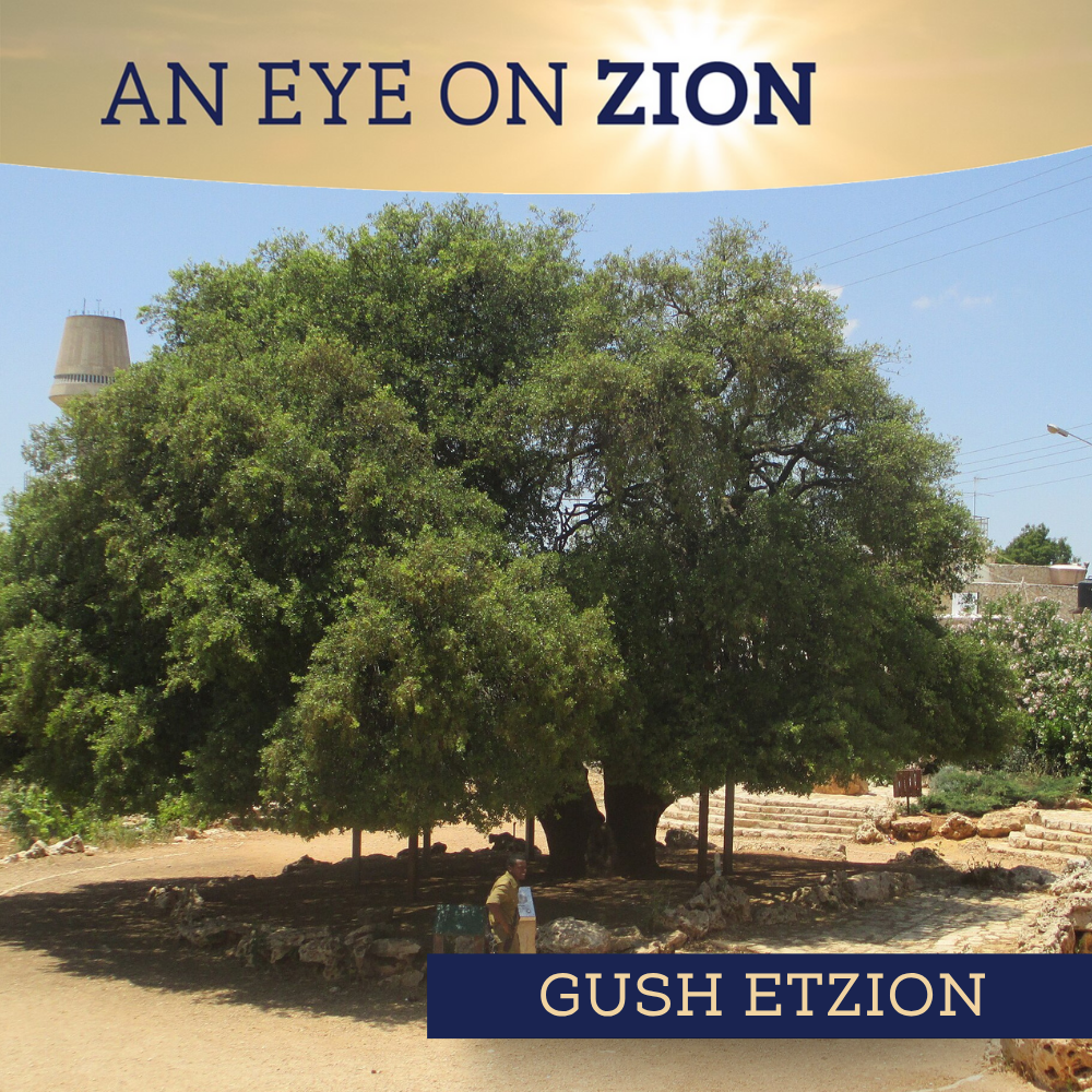 Gush Etzion Community