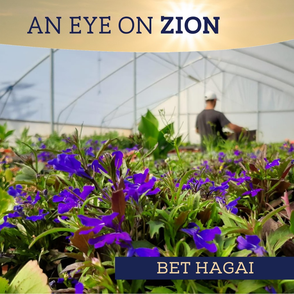 Bet Hagain Community