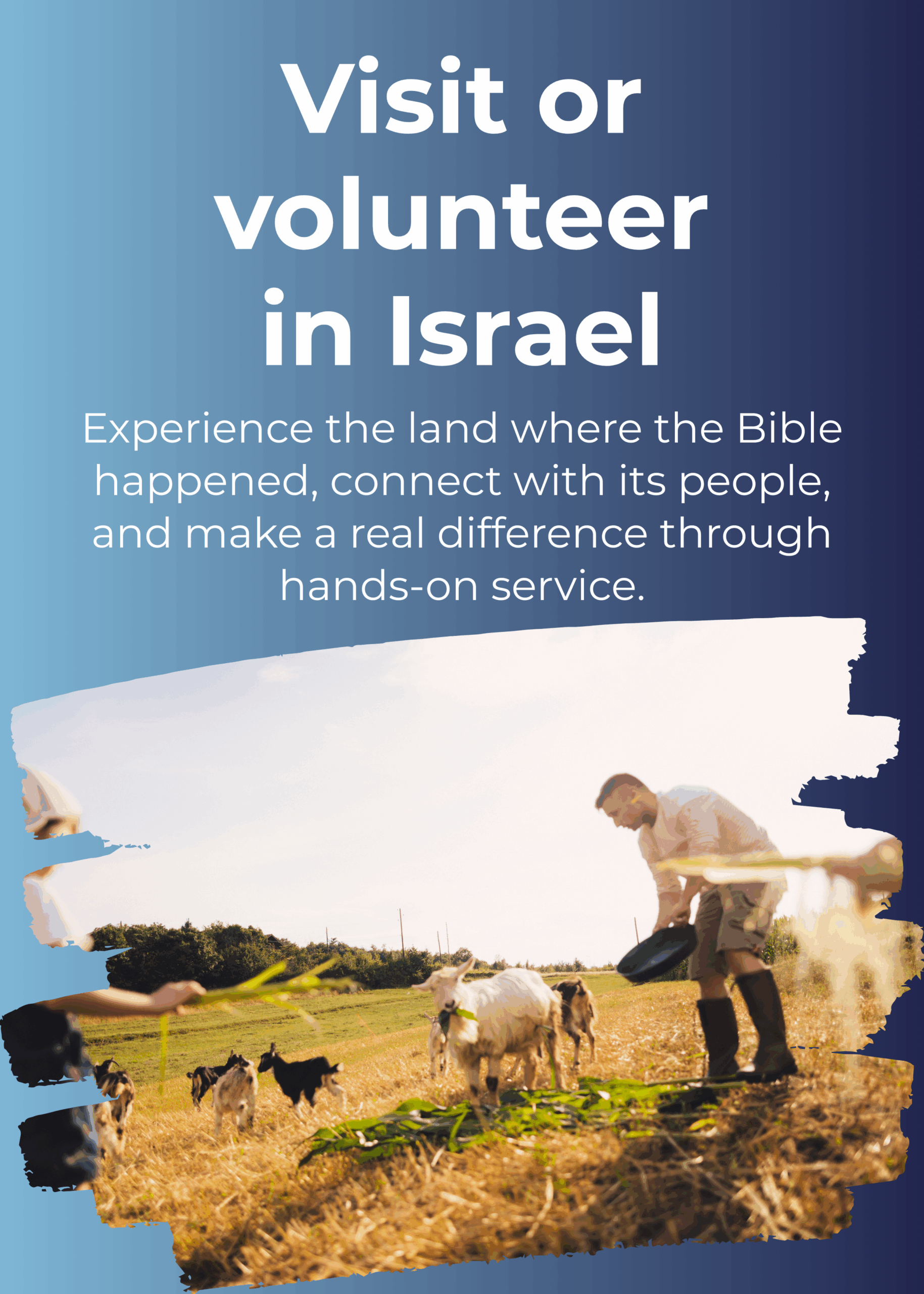 Volunteer in Israel